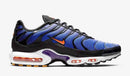 Air Max Plus Tn 'Purple' - HYPEE011