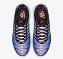 Air Max Plus Tn 'Purple' - HYPEE011