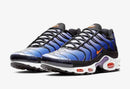 Air Max Plus Tn 'Purple' - HYPEE011