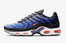 Air Max Plus Tn 'Purple' - HYPEE011