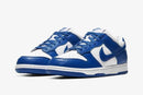 Nike Dunk Low SP Varsity Royal - HYPEE011